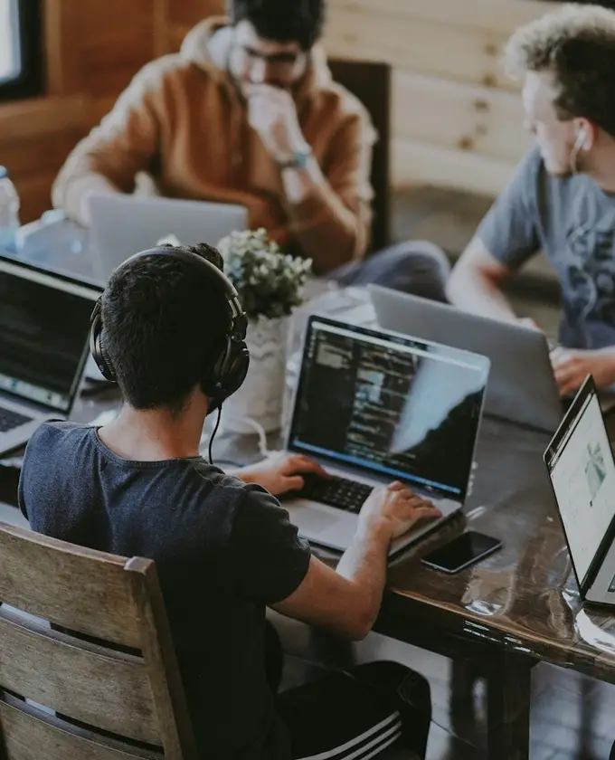 Borassus Infotech collaborative team